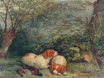 Dogs and Pheasant, 1840-Richard Ansdell-Giclee Print