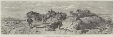 The Highland Shepherd-Richard Ansdell-Giclee Print
