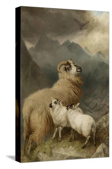 Stretched Canvas Print, , large