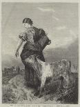 Collie, Ewe and Lambs-Richard Ansdell-Giclee Print