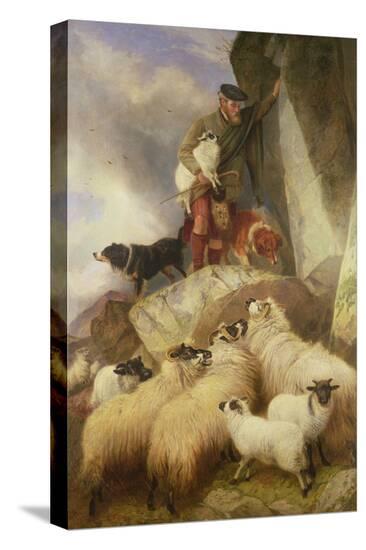 Stretched Canvas Print, , large
