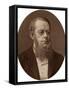 Richard Assheton Cross, MP, Home Secretary, 1880-Lock & Whitfield-Framed Stretched Canvas