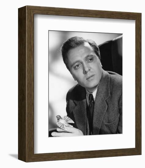 Richard Attenborough-null-Framed Photo