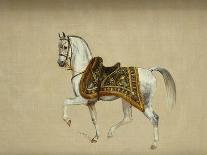A Horse in Ceremonial Saddlecloth - the Mount of the Marquess Clanricade-Richard Barrett Davis-Stretched Canvas