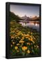 Essential Black