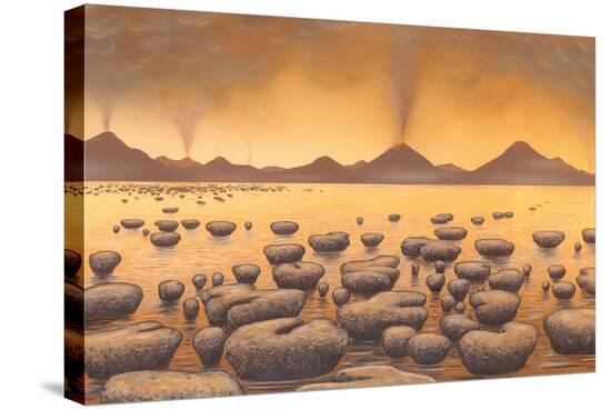 Stretched Canvas Print, , large