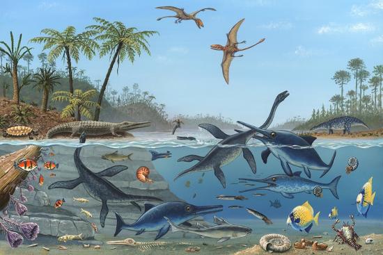 Photographic Print, , large