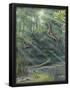 Essential Black