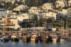 Port of Gavrio, Andros Island, Cyclades, Greek Islands, Greece, Europe-Richard-Photographic Print