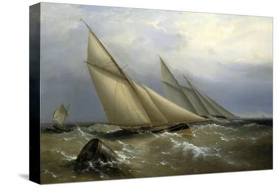 Stretched Canvas Print, , large