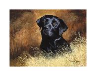 Golden Labrador-Richard Britton-Premium Giclee Print