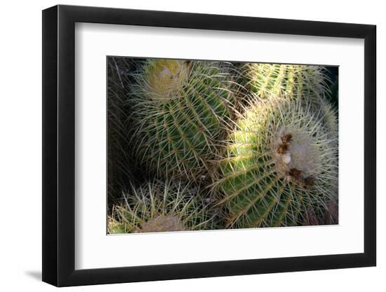 Photo, , large