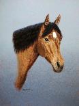 Horse-Richard Burns-Giclee Print