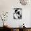 Richard Burton and Elizabeth Taylor on Location-Gjon Mili-Mounted Premium Photographic Print displayed on a wall