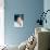 Richard Burton-null-Photo displayed on a wall