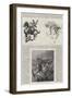 Richard Caton Woodville and His Work-Richard Caton Woodville II-Framed Giclee Print