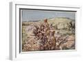 White Frame