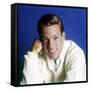 Richard Chamberlain-null-Framed Stretched Canvas