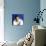 Richard Chamberlain-null-Photo displayed on a wall