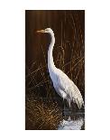 Marsh Watch - Great Blue Heron-Richard Clifton-Framed Art Print