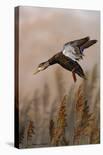 Marsh Watch - Great Blue Heron-Richard Clifton-Framed Art Print