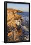 Essential Black