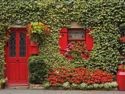 Ivy Covered Cottage, Town of Borris, County Carlow, Leinster, Republic of Ireland, Europe