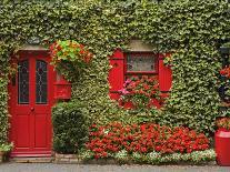 Ivy Covered Cottage, Town of Borris, County Carlow, Leinster, Republic of Ireland, Europe-Richard Cummins-Photographic Print