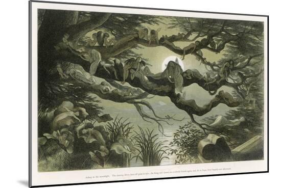 Art Print, , large