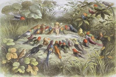 Rehearsal in Fairy Land, Illustration from "In Fairyland: a Series of Pictures from the Elf-World"