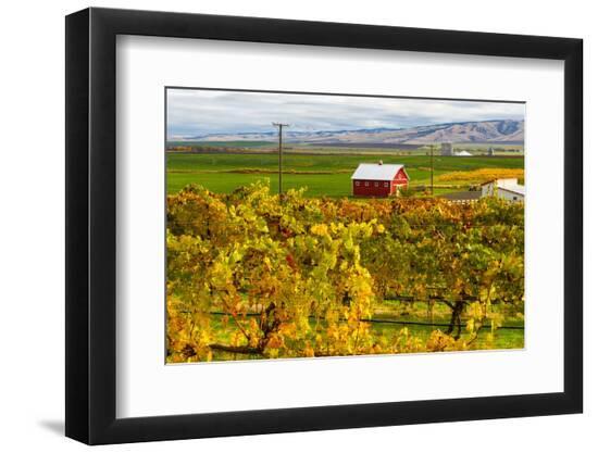 Premium Photographic Print, , large