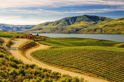 Benson Vineyards Estate Winery, Lake Chelan, Washington, USA