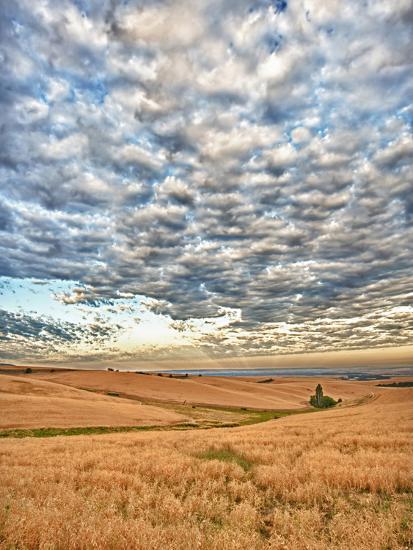Photographic Print, , large
