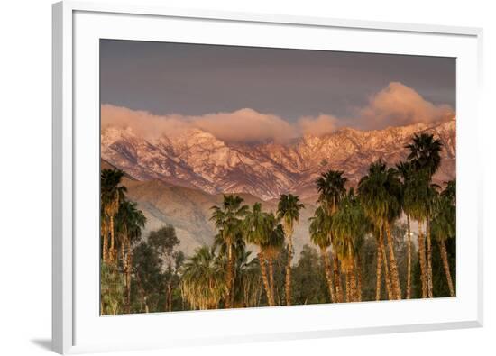 Framed Photographic Print, , large