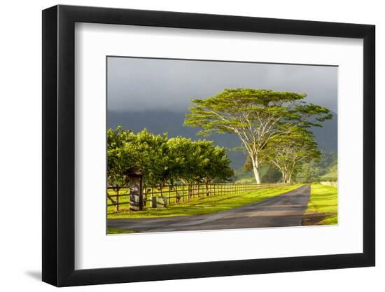 Premium Photographic Print, , large
