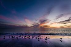 Sunrise on the Pier at Terre Ceia Bay, Florida, USA-Richard Duval-Photographic Print