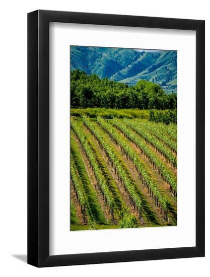 Premium Photographic Print, , large