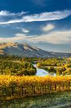 USA, Washington. Harvest Season for Red Mountain Vineyards-Richard Duval-Photographic Print