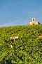 Laminate