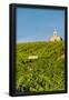 Essential Black