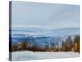 Stretched Canvas
