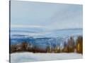Stretched Canvas