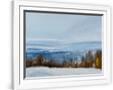 Gramercy White