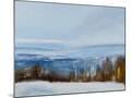 Wood Mount