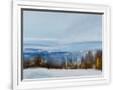 Gramercy White