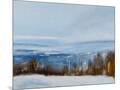 Wood Mount