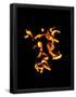 Essential Black