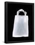 Essential Black