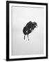 Gramercy Black