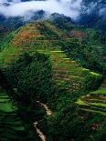 Rice Terraces Around Banaue, Banaue, Philippines-Richard I'Anson-Photographic Print